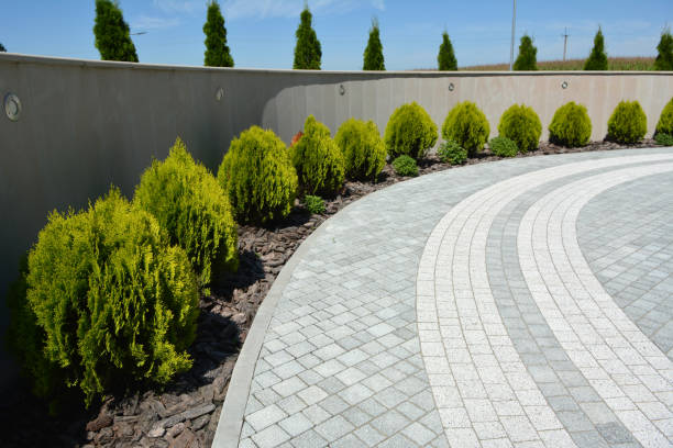 Trusted St Augustine Shores, FL Driveway Pavers Experts
